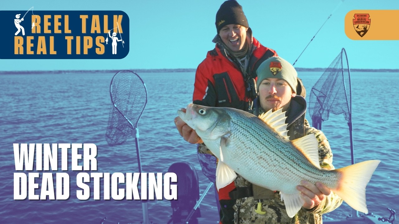 EP 14: Dead Sticking Monster Hybrid ft. James Boone | Reel Talk, Real Tips