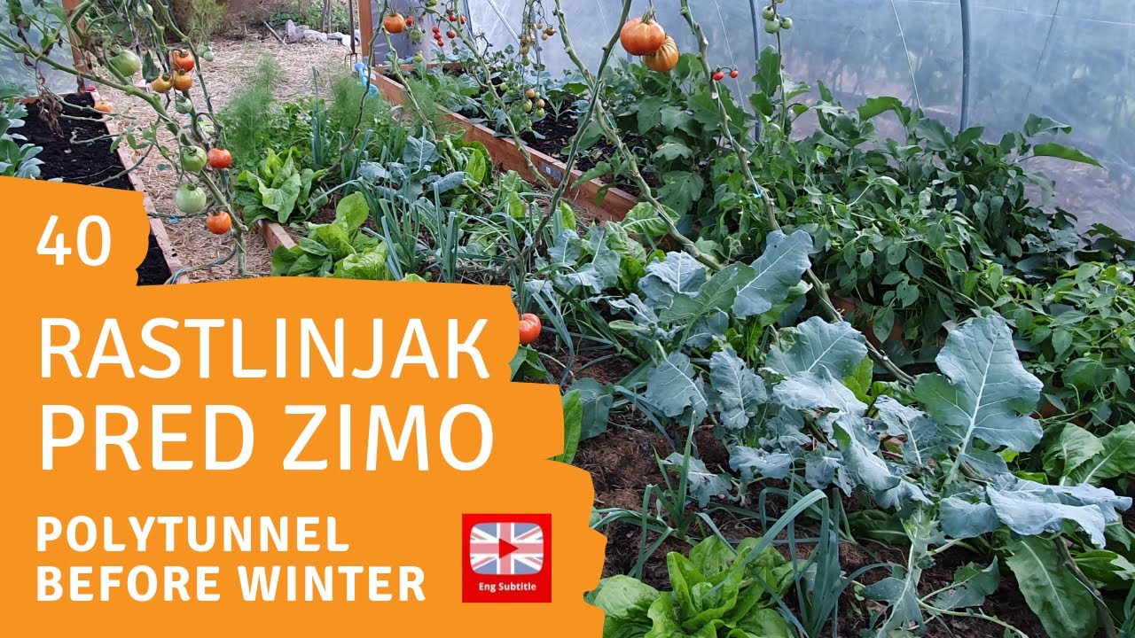 Priprava rastlinjaka na jesen in zimo - Vrt Obilja EP40