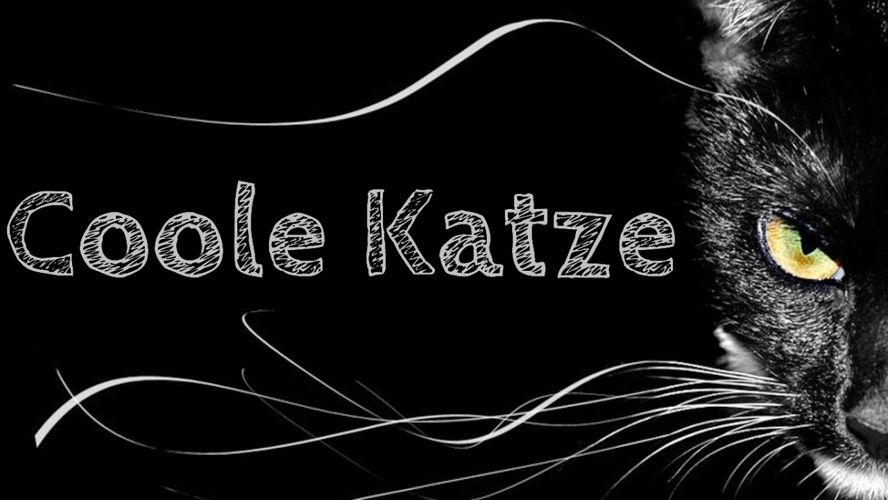 Namika - Coole Katze (Lyrics)