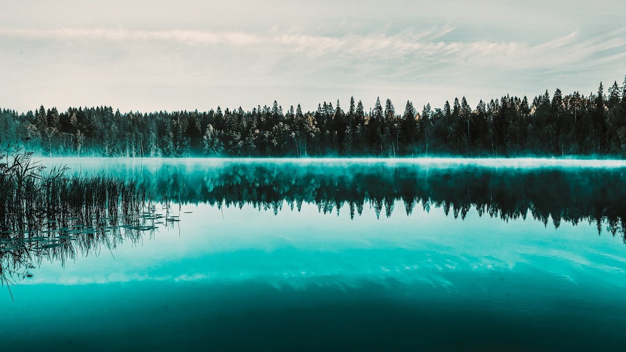 Tietoinen liike