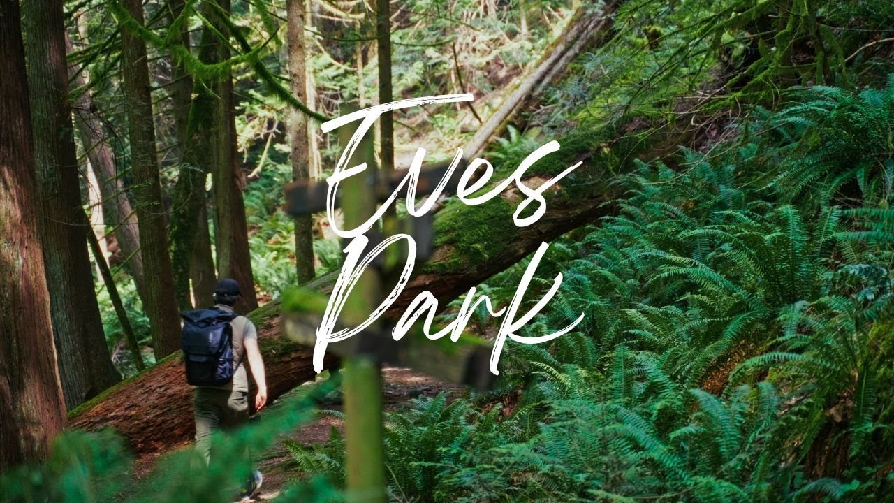 Eves Park - Is This Vancouver Island's Cutest Provincial Park