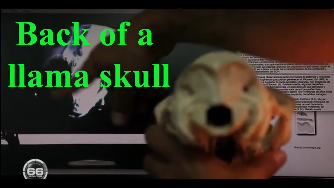 The Mexican Aliens: Fully DEBUNKED