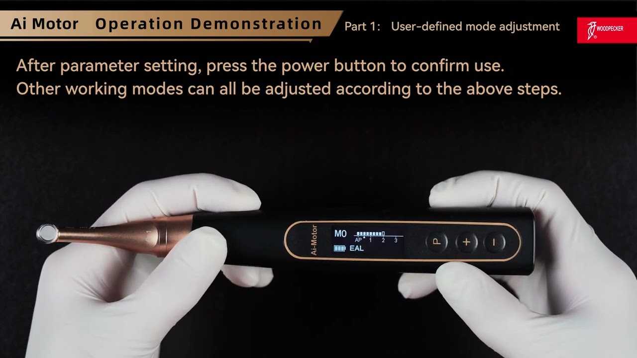 Woodpecker Endo Motor Ai Model Operation Demonstration