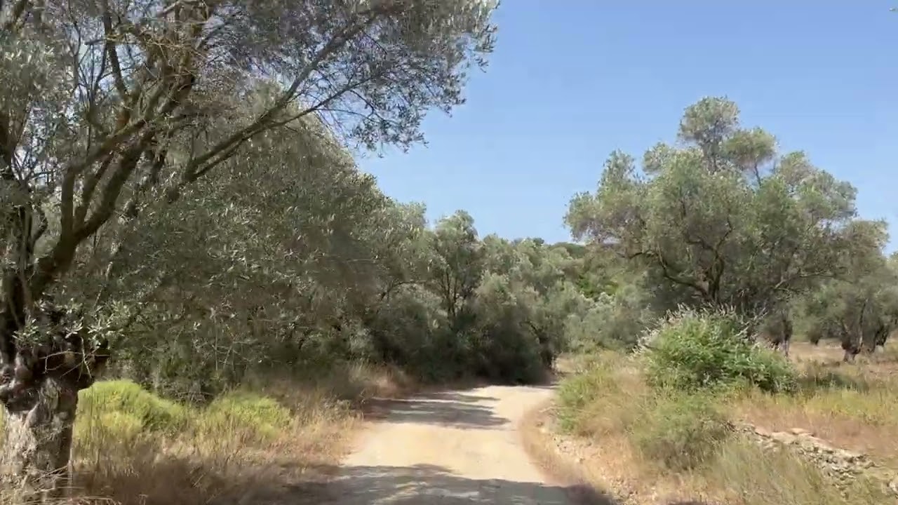 Grecja Lesbos Natura