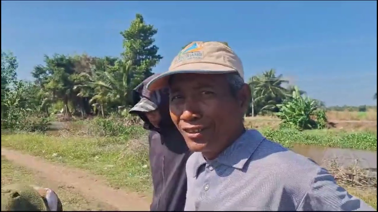 xịt thuốc ruộng
