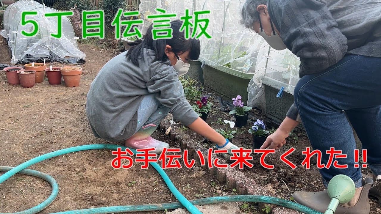 【高齢者の生活】大変そうだからとお手伝いに来てくれた年の差６８歳の私のお友達