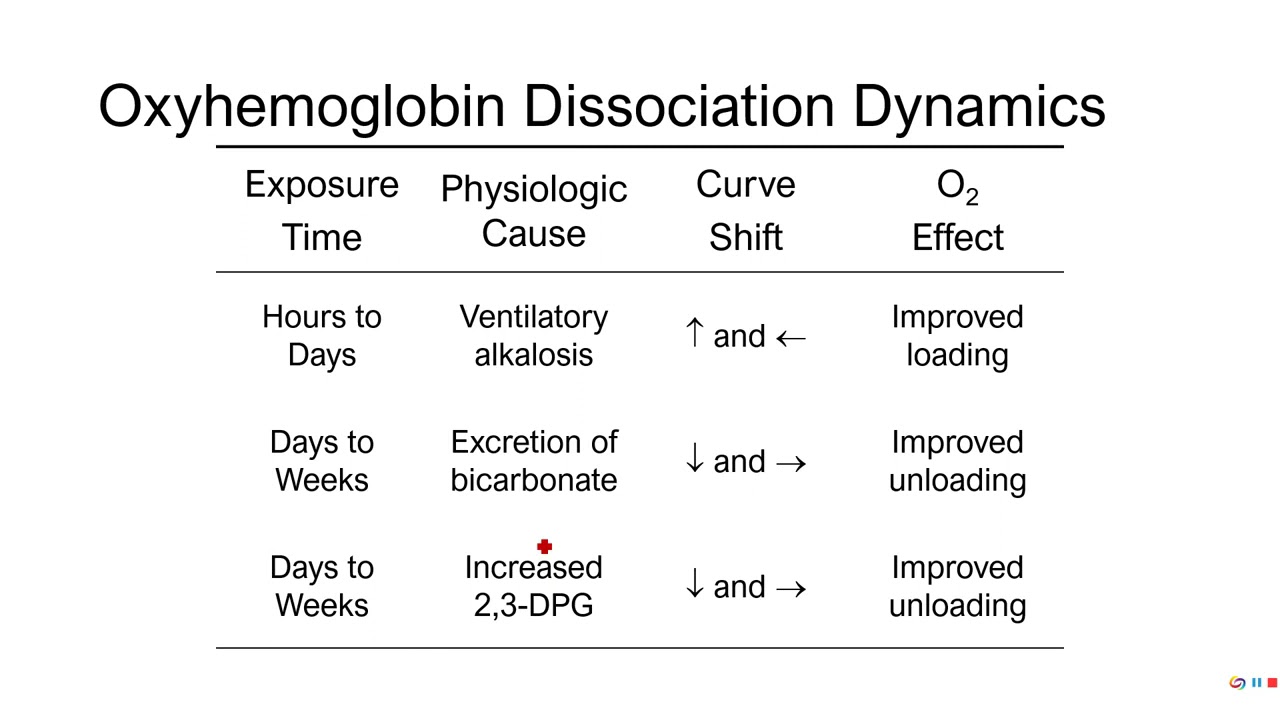 PE 381 - Lecture 14-2-2 - Altitude - Chronic responses