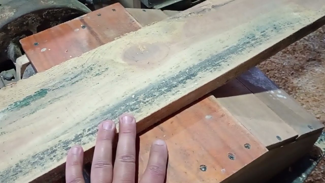 Hongos cromogenos en madera y la problemática de realizar muebles