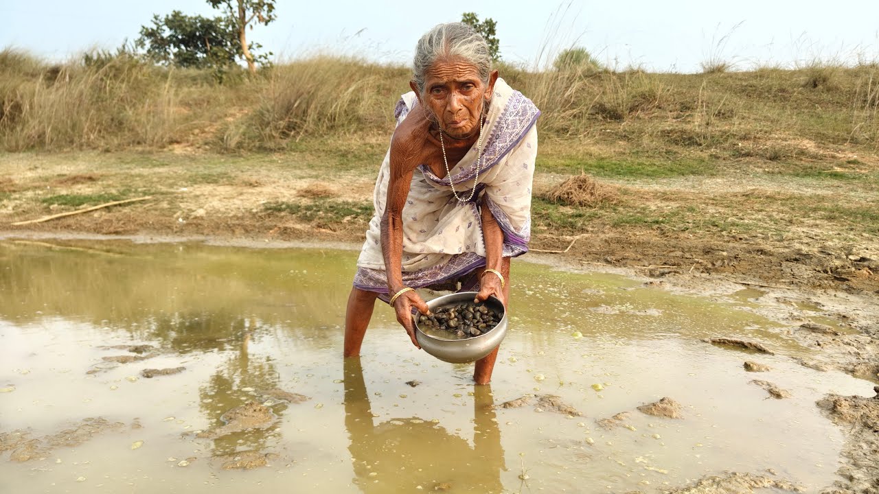 100 year old poor Grandma cooking Snail Curry with Brinjal recipe and eating ||Grandma Rural Kitchen
