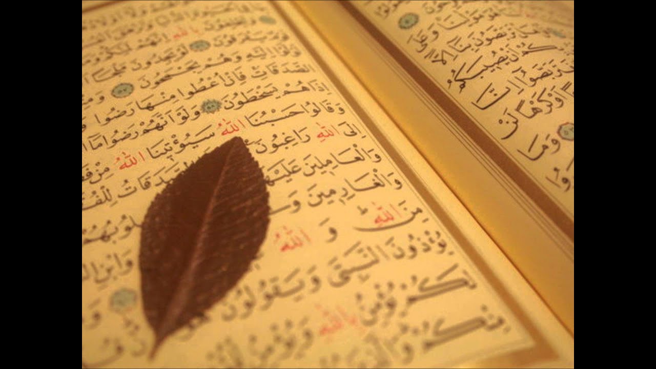 القارئ ادريس ابكر - ( ولقد مننا عليك مرة أخرى )