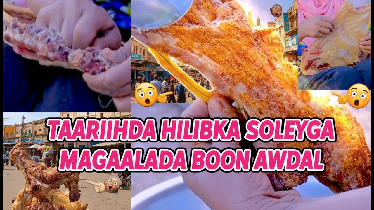 MAXAAD KA TAQANAA TAARIIKHDA HILIBKA SOLEYGA EE MAGAALADA BOON AWDAL