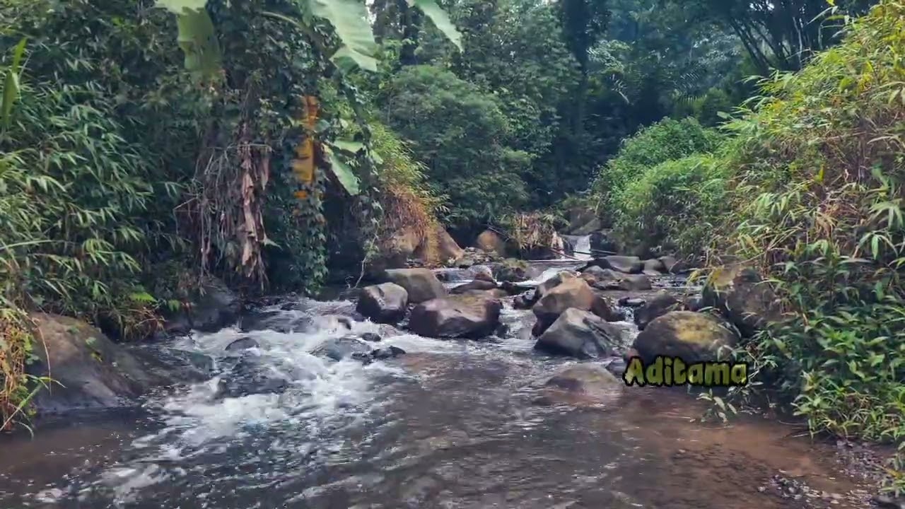 ALIRAN SUNGAI DARI MATA AIR GUNUNG UNGARAN SUARANYA TERASA NYAMAN UNTUK DI DENGAR WAKTU ISTIRAHAT
