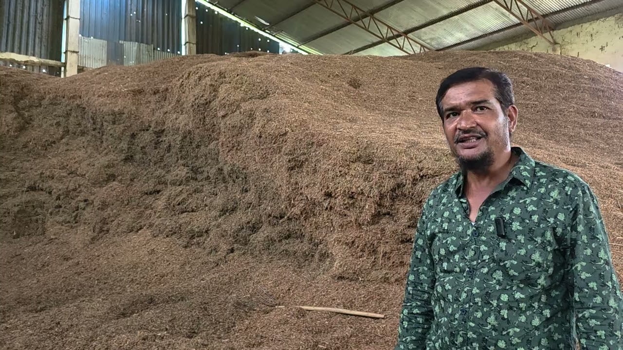 Difference In Quality Of Tuar Bhussa | Quality Pehchane Ka Tarika | Afsar Bhai Pioneer Of Tuar Land.
