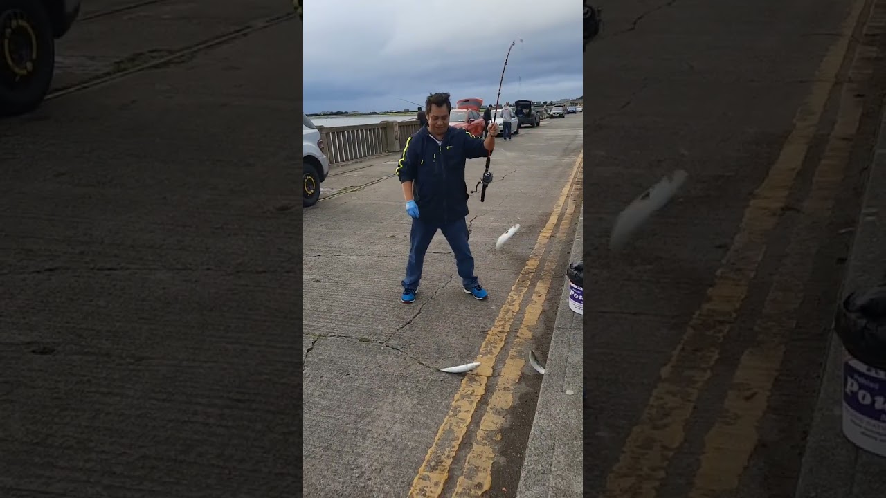 Fishing 2023 at fenit harbour.