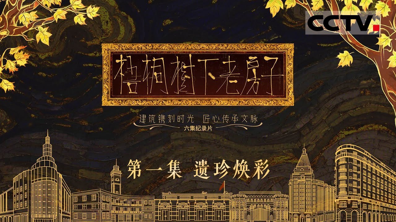 《梧桐树下老房子》01 遗珍焕彩：外滩1.5公里长的道路上 矗立着23幢风格迥异的老大楼 构成了令人叹为观止的外滩万国建筑博览群【CCTV纪录】