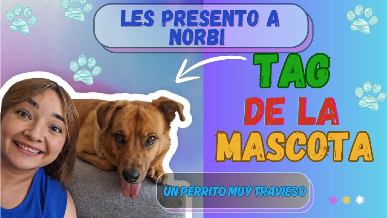 TAG DE LA MASCOTA. les presento a mi perrito./Mayeling Rojas//MayeLifeee
