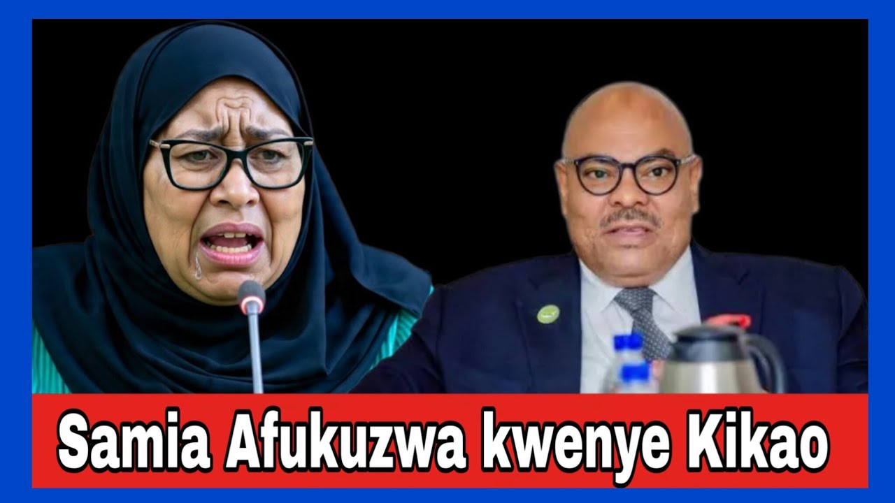 Utawala wa Samia Wafukuzwa kikao Marekani na Ulaya walipoomba Samia kusamehewa &misaada ije Tanzania