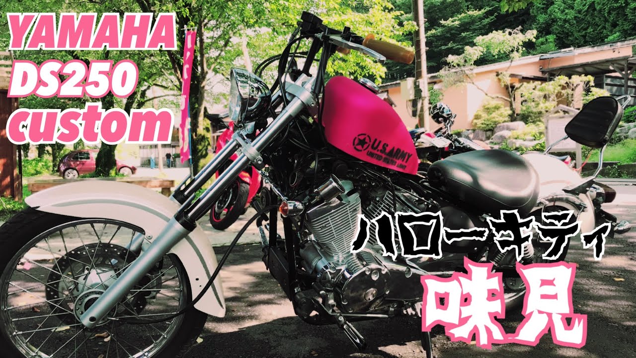 DS250カスタム計画 カスタム味見編