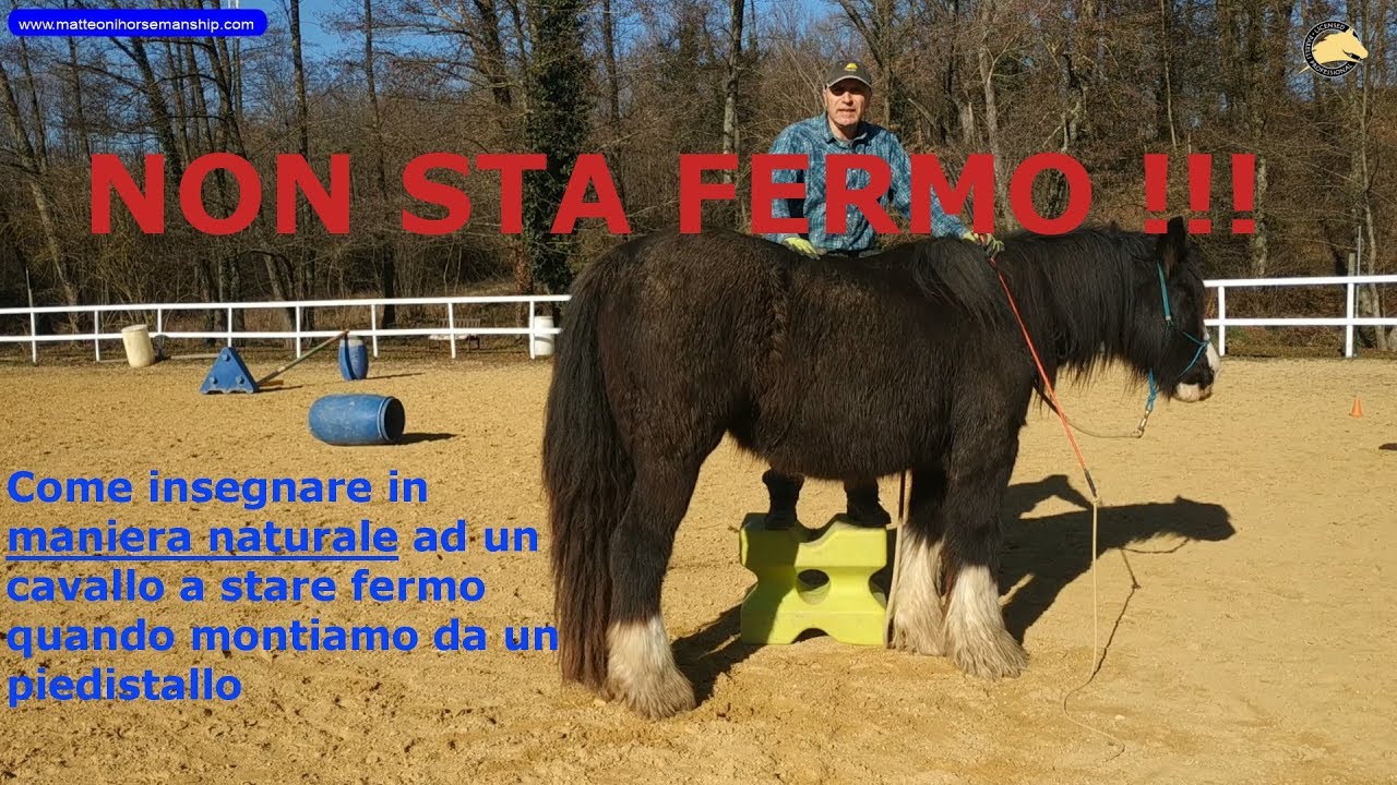 Montare da un piedistallo