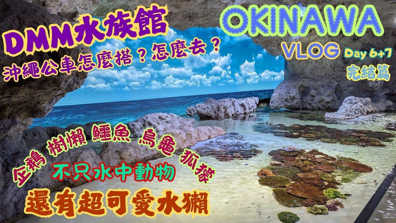 【沖繩Vlog】自駕遊Day6+7 ∣ DMM水族館∣福助玉子燒∣國際通吃逛喝∣ 沖繩公車怎麼搭？∣那霸機場觀景台看飛機！