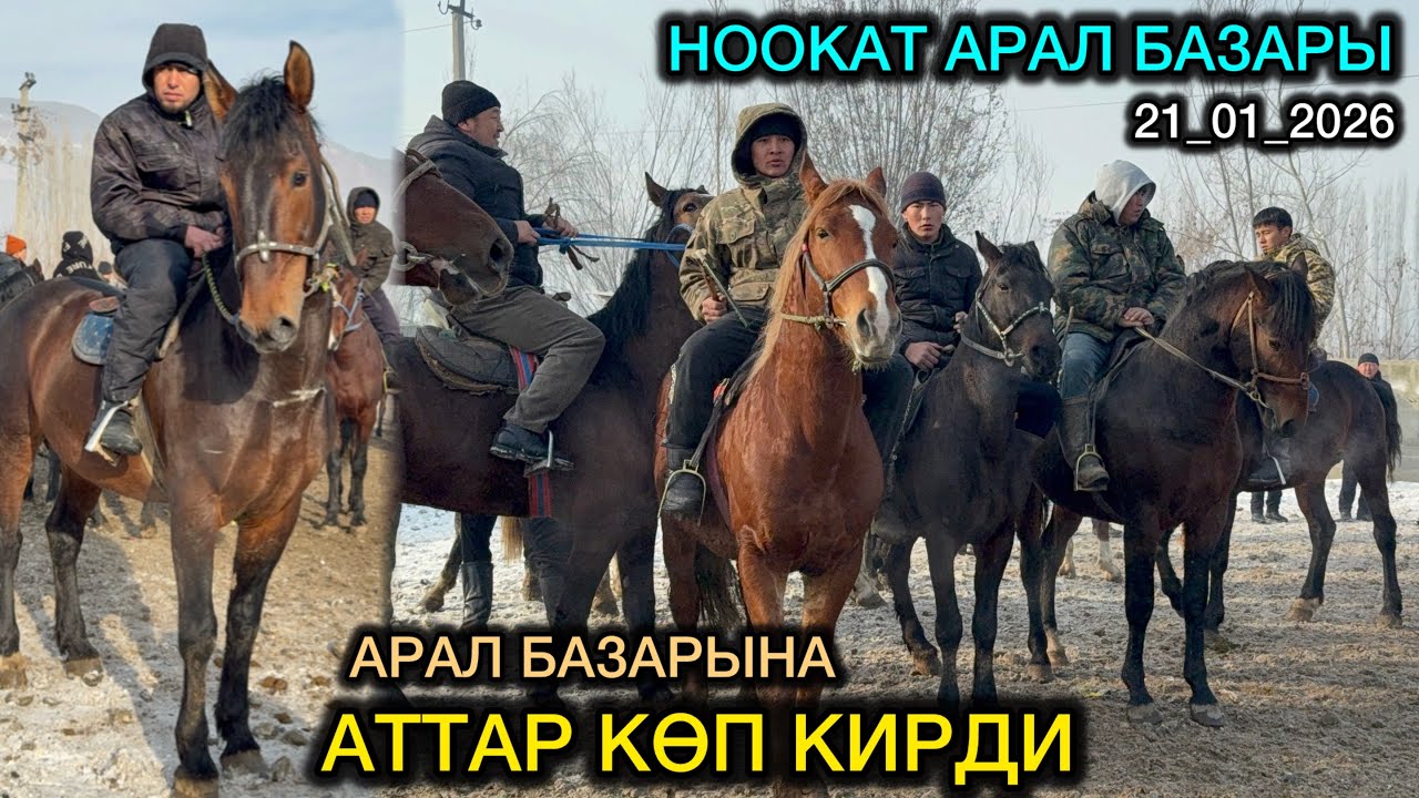 21 января 2026 г.