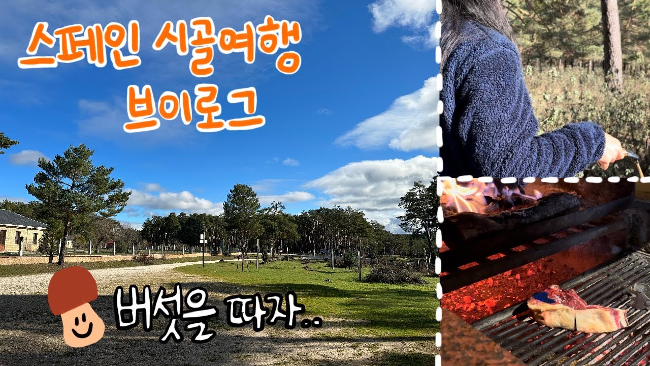 🇪🇸 스페인 시골여행 브이로그 / 평화롭게 버섯따고 식당에 가는.. 것이 목표였는데