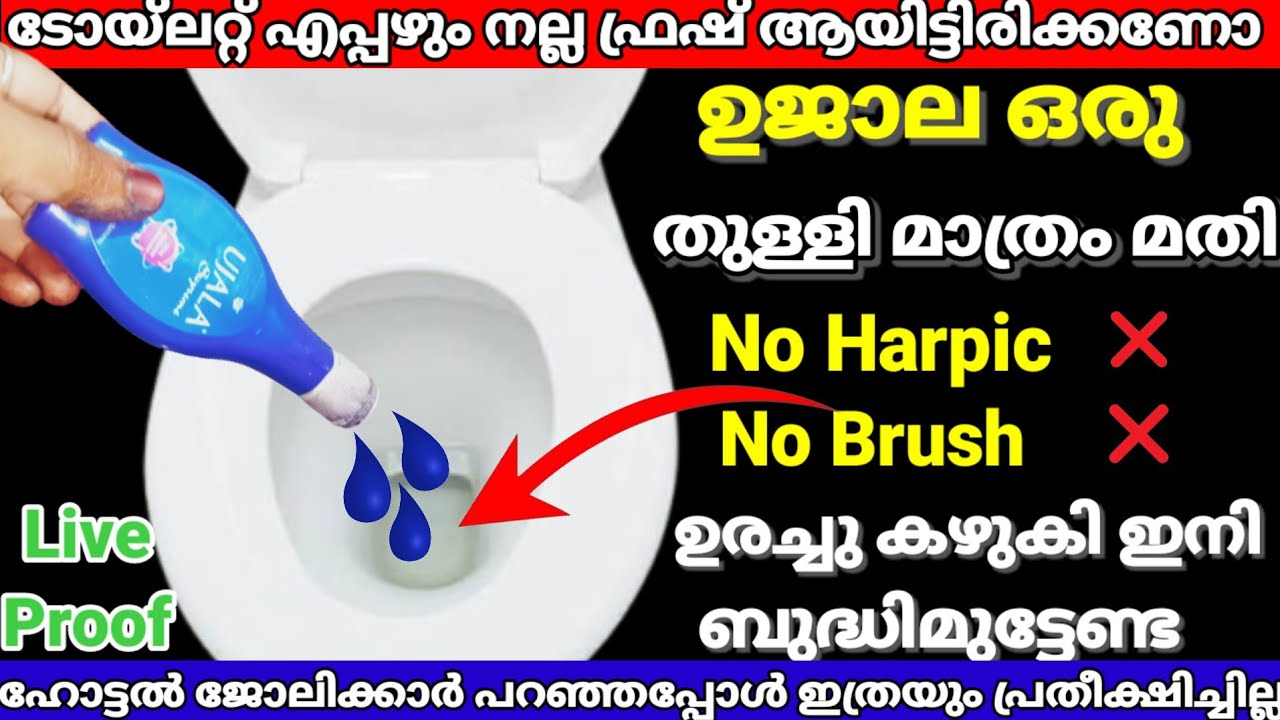 ✅ഉജാല ഉണ്ടോ എങ്കിൽ നിങ്ങളുടെ ജോലികൾ സെക്കന്റ്‌ കൊണ്ട് തീർക്കാനുള്ള സൂത്രവിദ്യ ഇതാ |kitchentips 