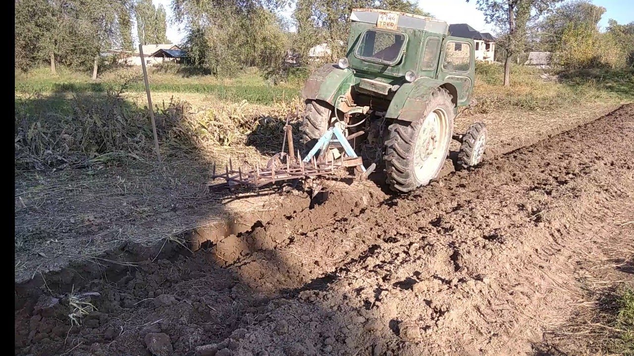 копаем хрен,т-40 в помощь