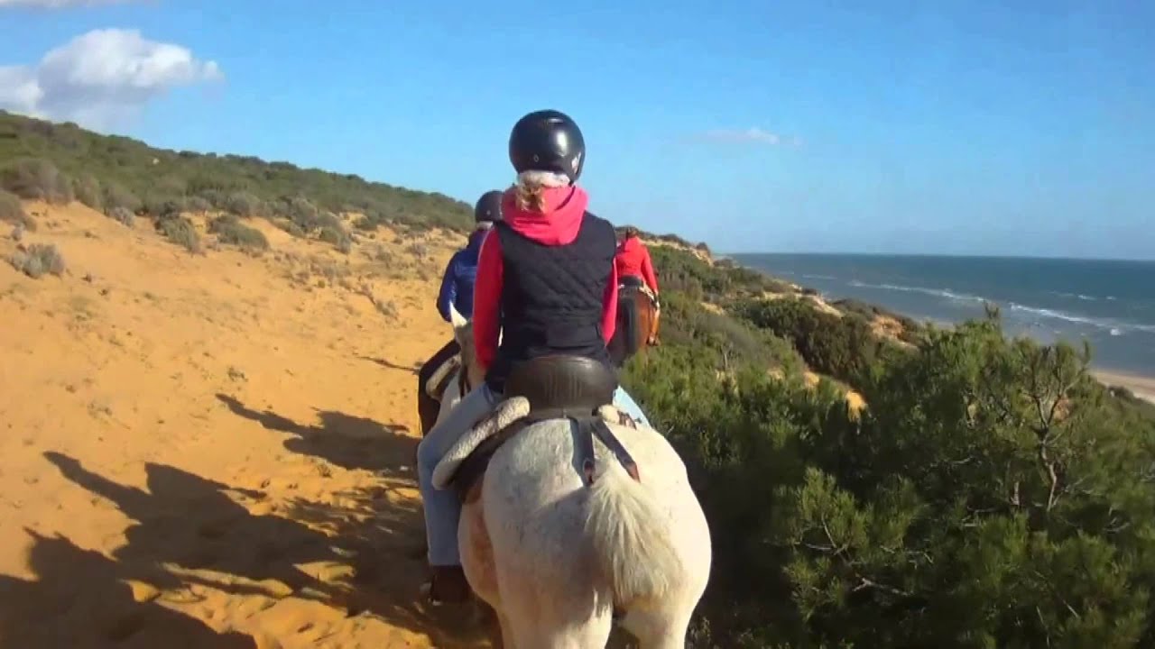 RUTA A CABALLO POR LAS  PLAYAS DE  DOÑANA. HORSE ROUTE IN THE BEACHES OF DOÑANA.