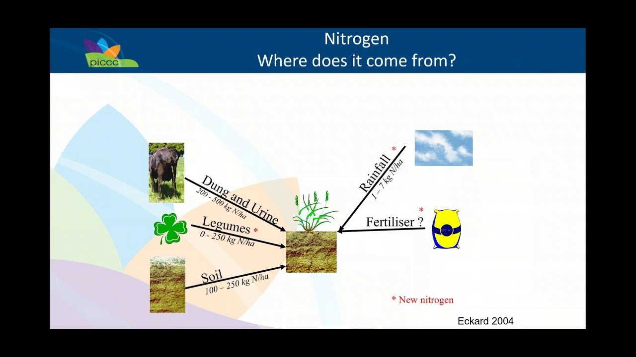 What, Where And When? The Use Of Nitrogen In Pastures (Part 1 of 2) - 19/09/19