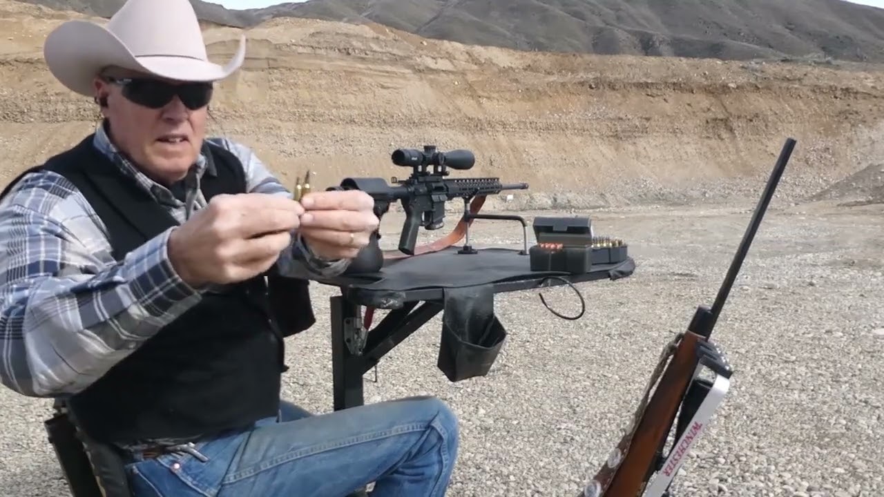 22-250 Rem. или .223 Rem. Что лучше для охоты на вредителей? Молоток или гвоздь?
