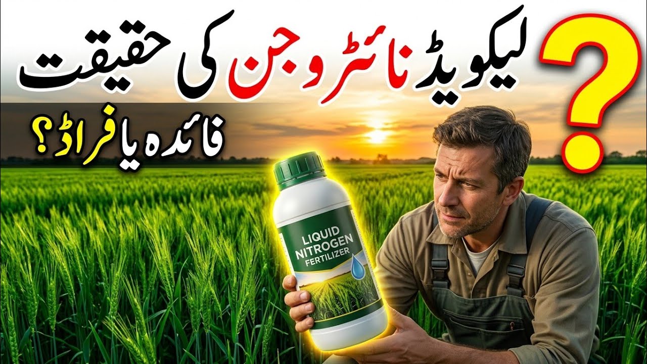 Truth About Liquid Nitrogen in Agriculture | Bilal Kanju Official 