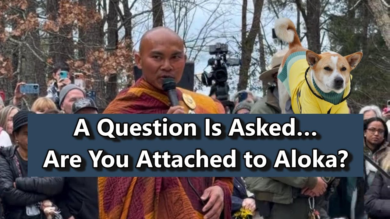 A Question Is Asked… Are You Attached To Aloka?