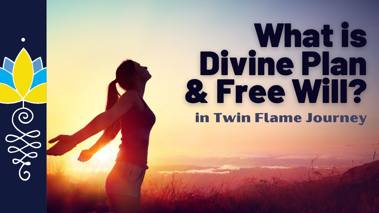 What is Divine Plan & Free Will? : in Twin Flame Journey