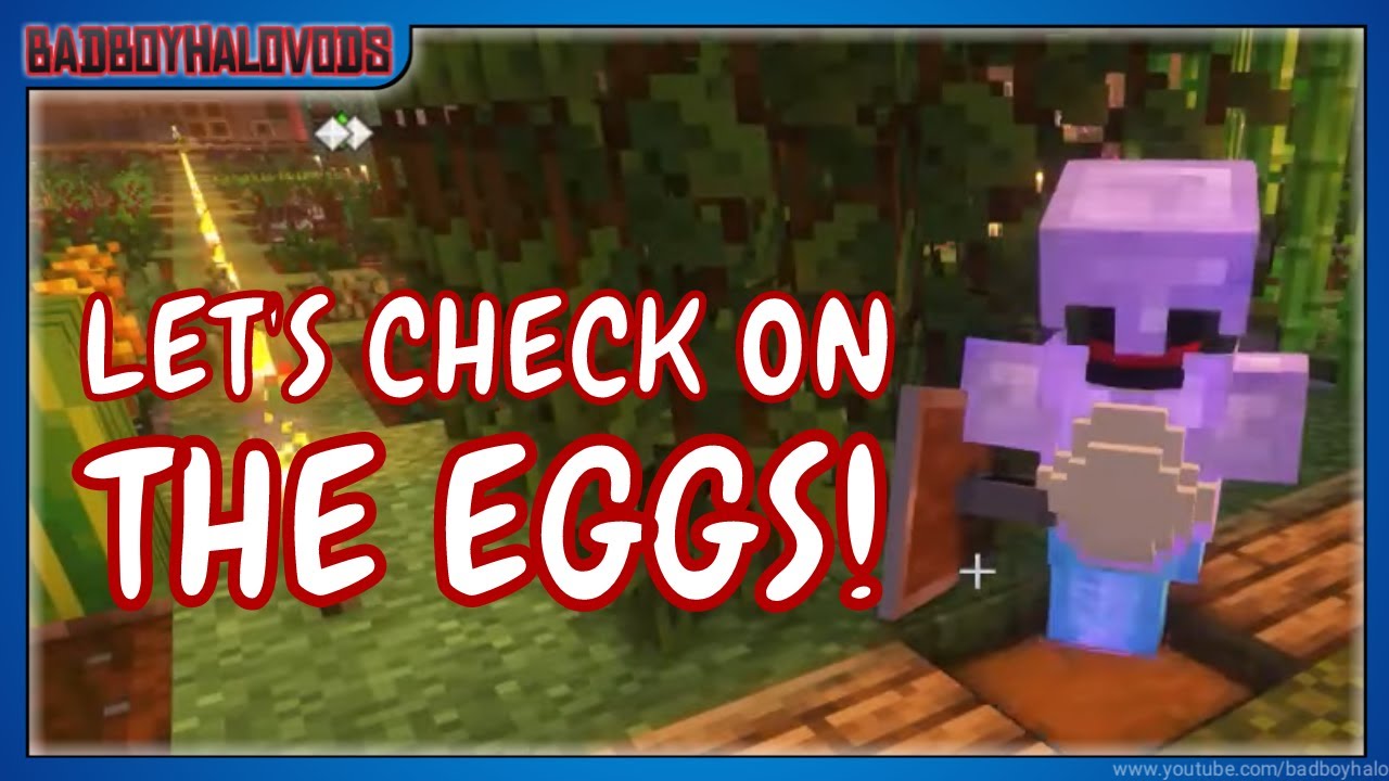 LET'S CHECK ON THE EGGS! | QSMP