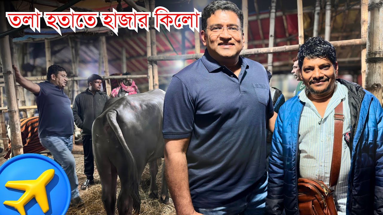 গাবতলী হাটে আকরাম ভাইয়ের গরু কেনা | UK ভক্ত লাইভ দেখল ডিল | Gabtoli Haat Cow Buying 19 Jan 2026