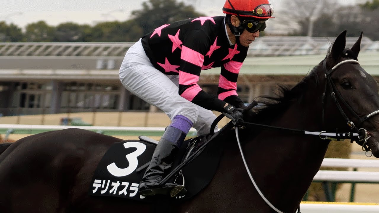 【武豊】馬体重+34キロ！絶望的な数字もユタカマジックをかけ勝利に見導く