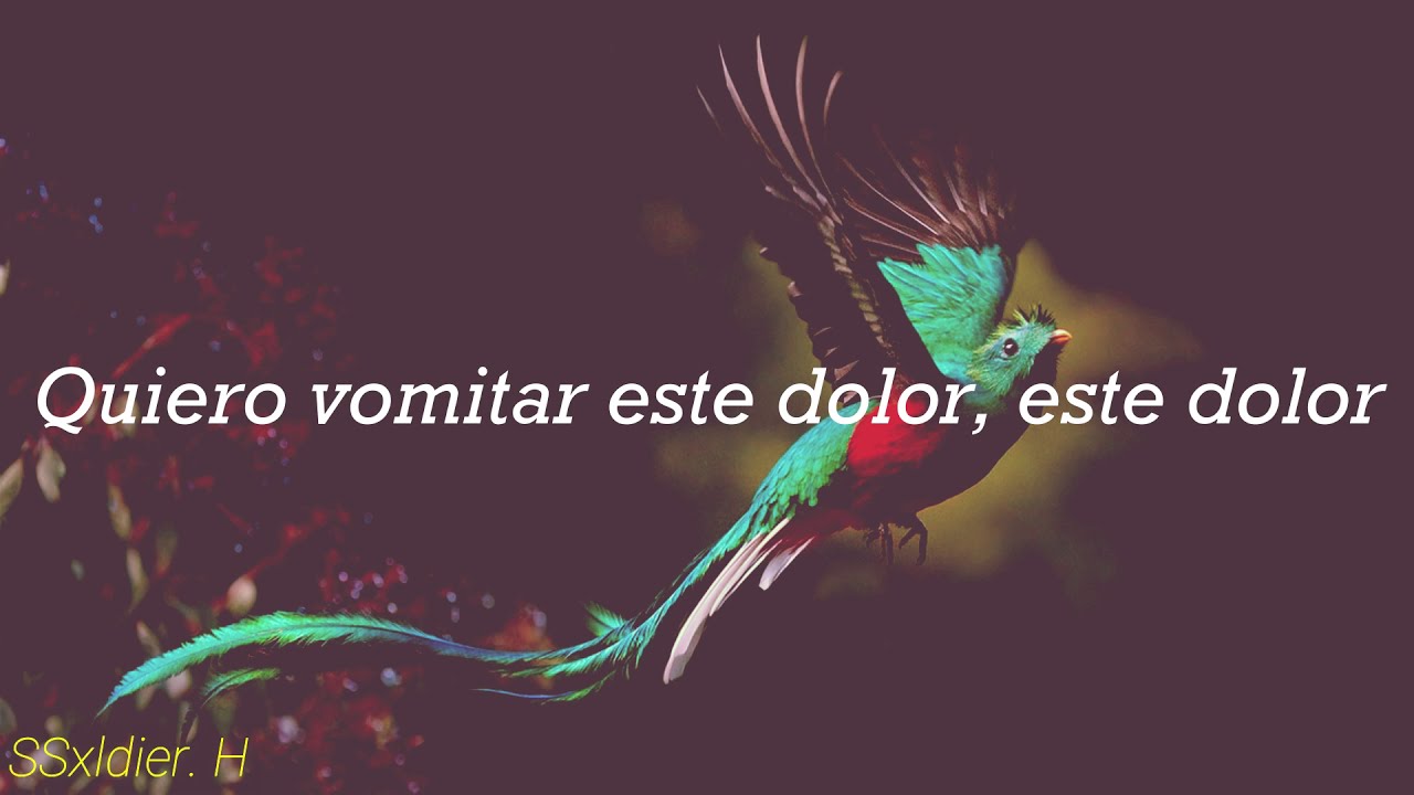 Porter-Murciélago (Letra)