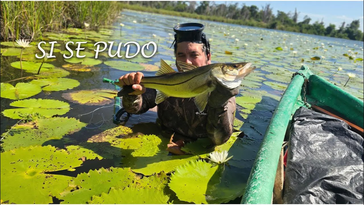 Pesca con arpón y cuerda en AGUAS FRÍAS ❄️ | ¿Valió la pena estrenar el arpón?