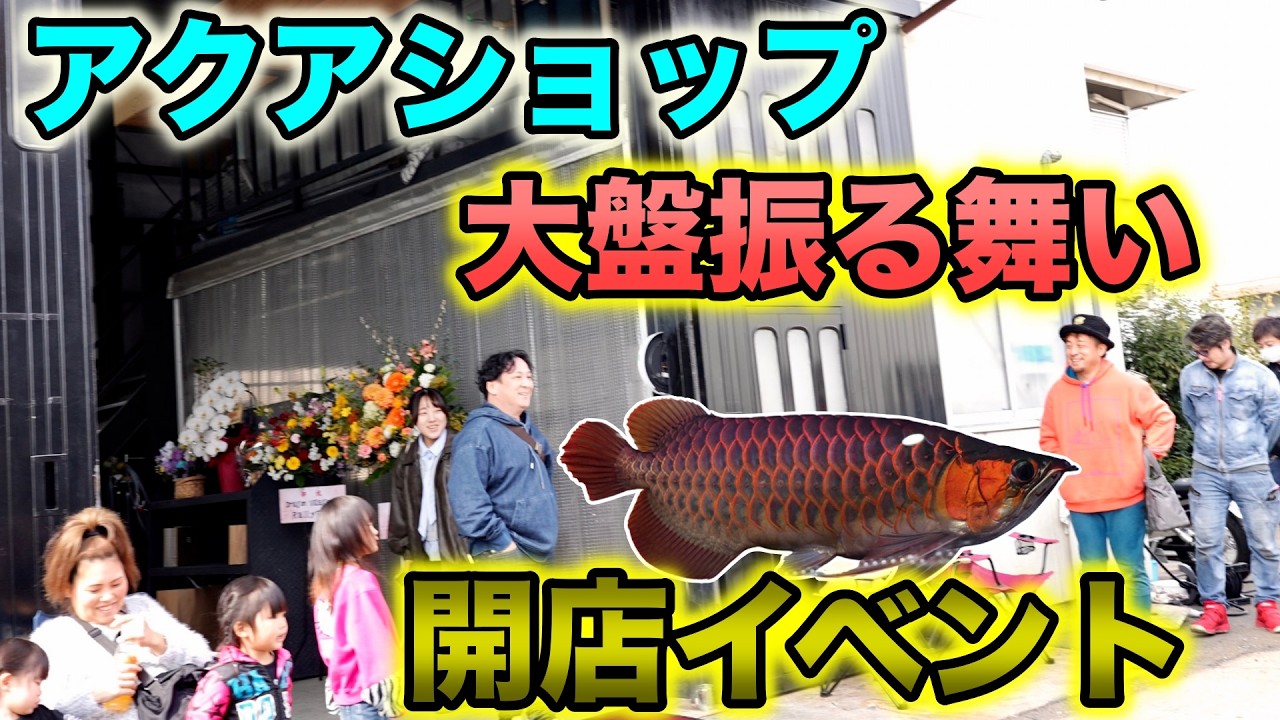 熱帯魚屋Open アロワナメインに展開の三重県桑名市 Dragon Village『ドラゴンビレッジ』 #アロワナ  #アクアリウム 　#アクアショップ