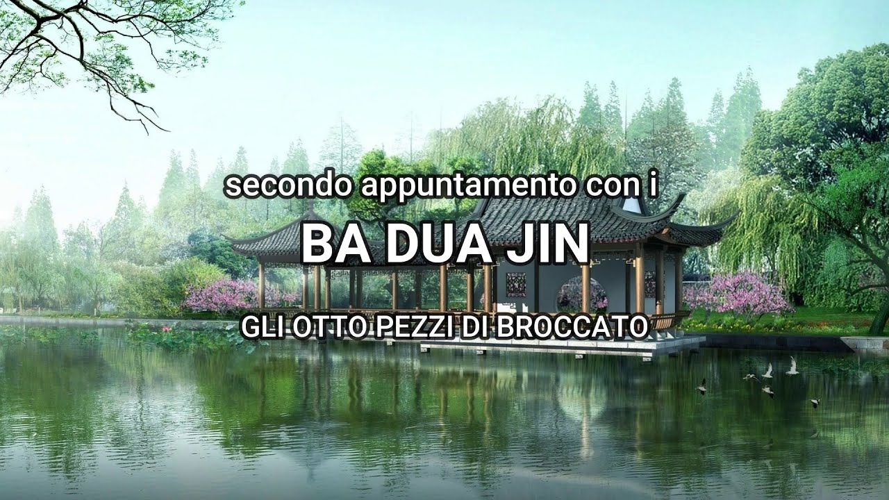 02 - BADUANJIN (Pa Tuan Chin): sequenza completa e spiegazione 3° e 4° movimento