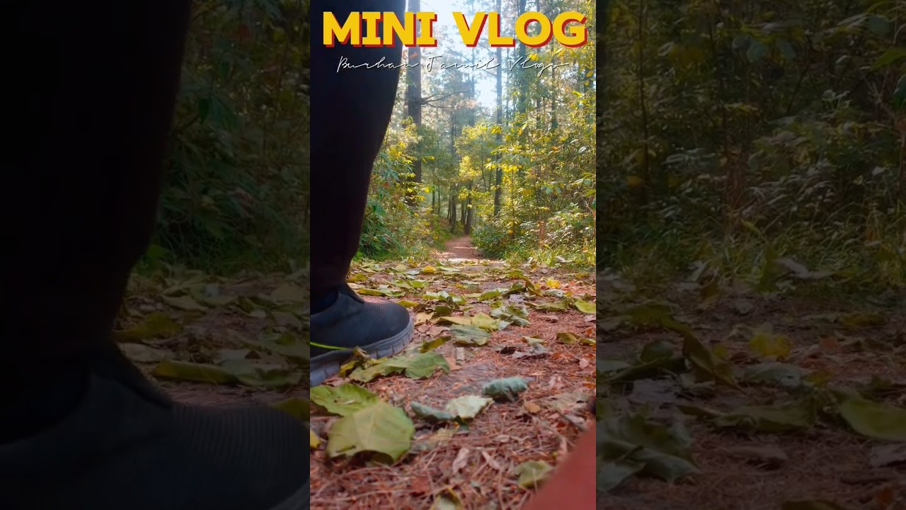 Hiking Track | Murree | Bhurban to Abadi Mohra Eswal Hiking Track #murree #murreevlogs #murreetour