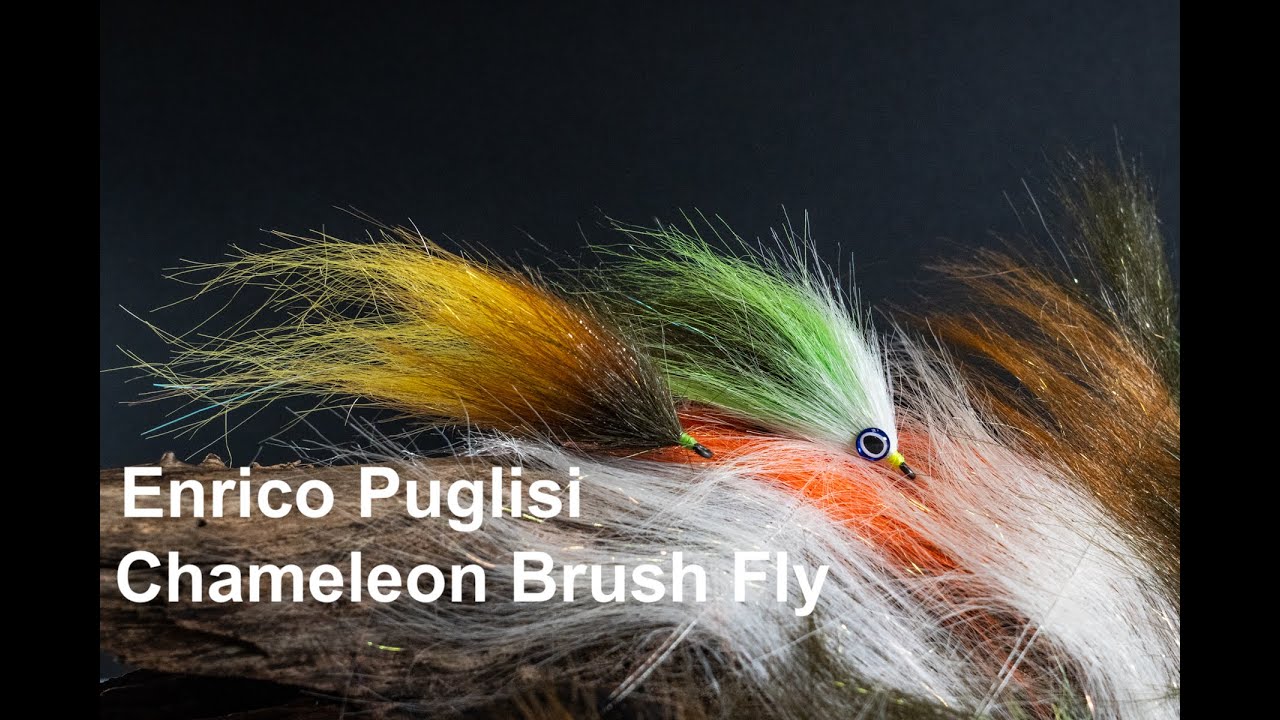 Chameleon Brush Fly With Enrico Puglisi