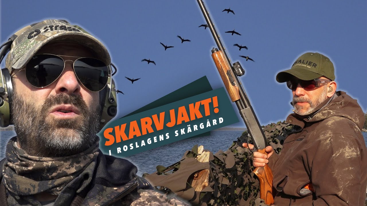 Skarvjakt i skärgården!