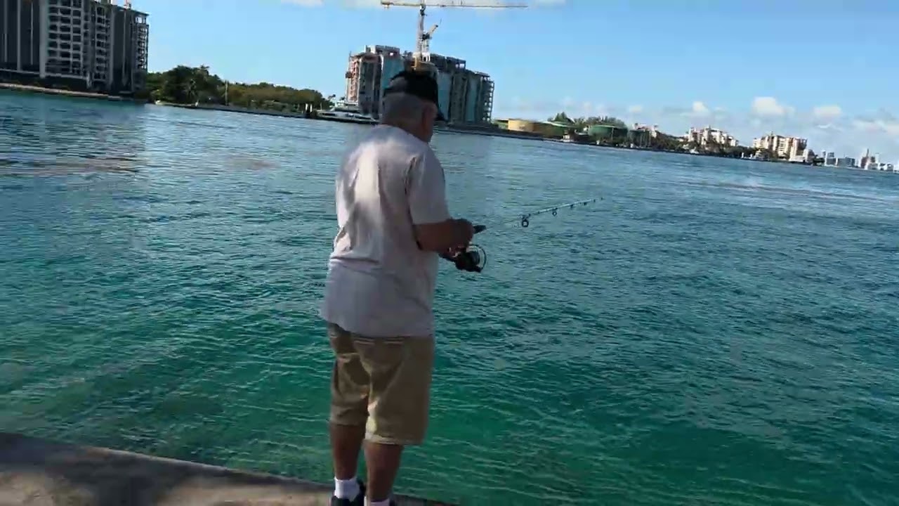 EU EM MIAMI E.U.PASSEANDO  