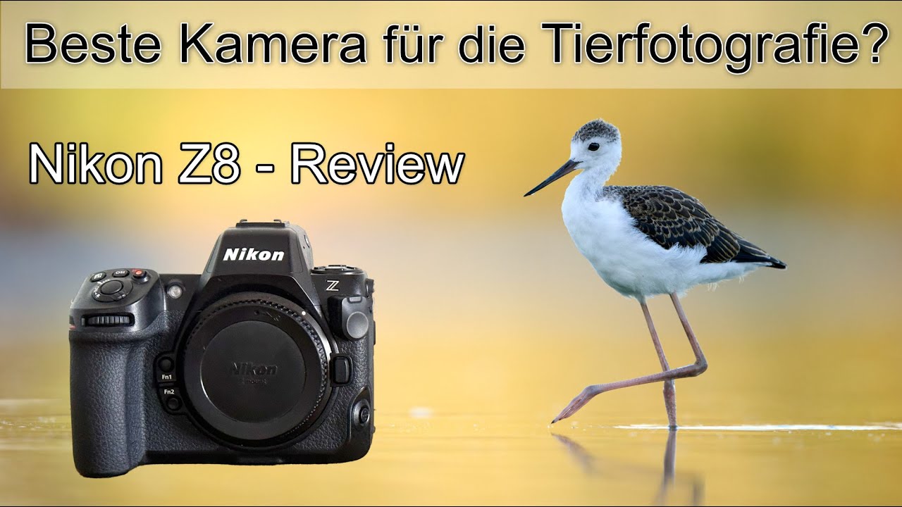 Nikon Z8 REVIEW - Die perfekte Kamera für die Vogelfotografie? (Erfahrungsbericht)