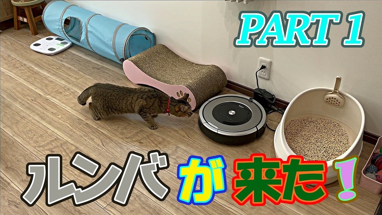 ルンバが来た！？（前編）