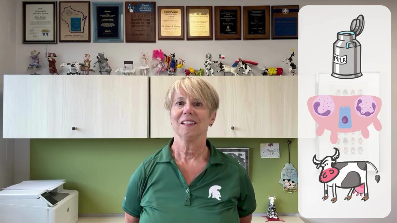 Defining and Detecting Severe Mastitis