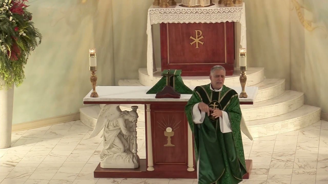 Father Mark Beard's Homily - 