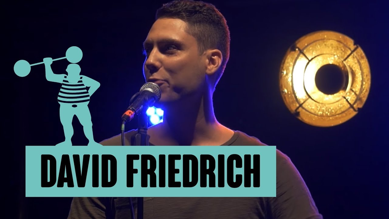 David Friedrich - Aber schön war es doch